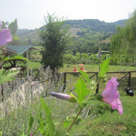 צ'זנה Le Spighe Agriturismo מראה חיצוני תמונה