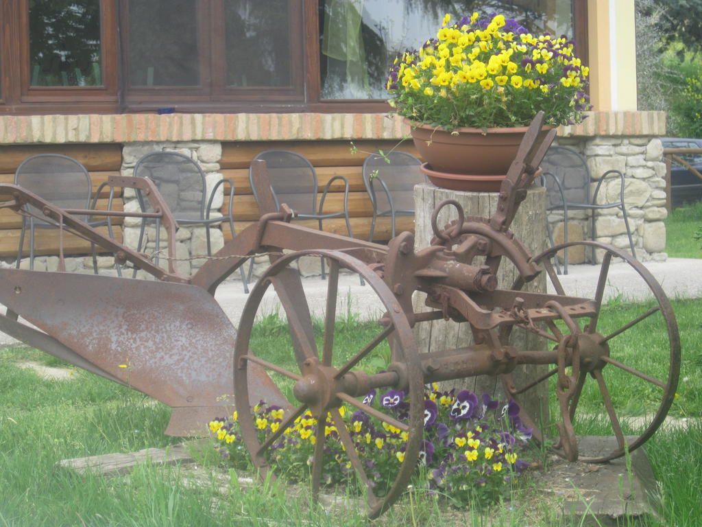 צ'זנה Le Spighe Agriturismo מראה חיצוני תמונה