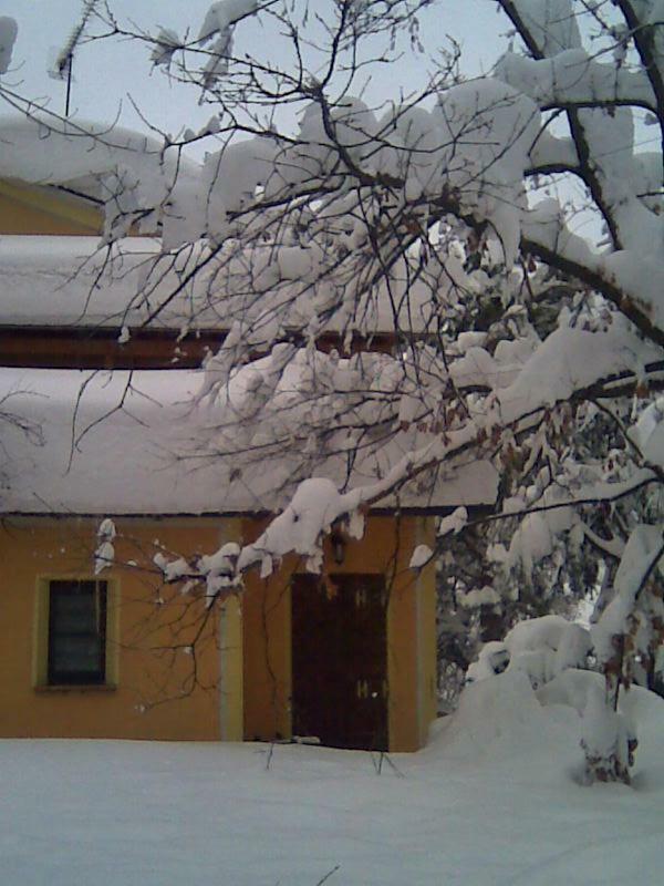 צ'זנה Le Spighe Agriturismo מראה חיצוני תמונה