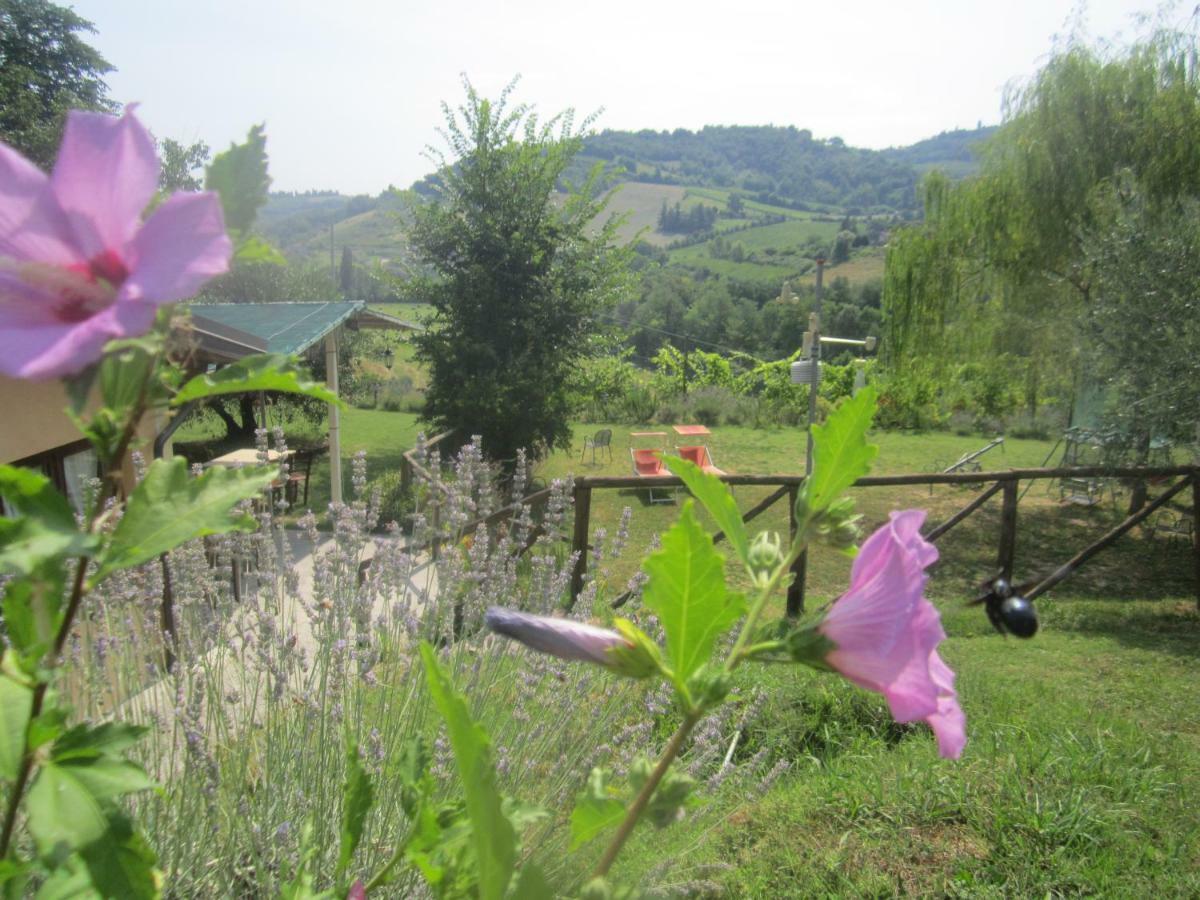 צ'זנה Le Spighe Agriturismo מראה חיצוני תמונה