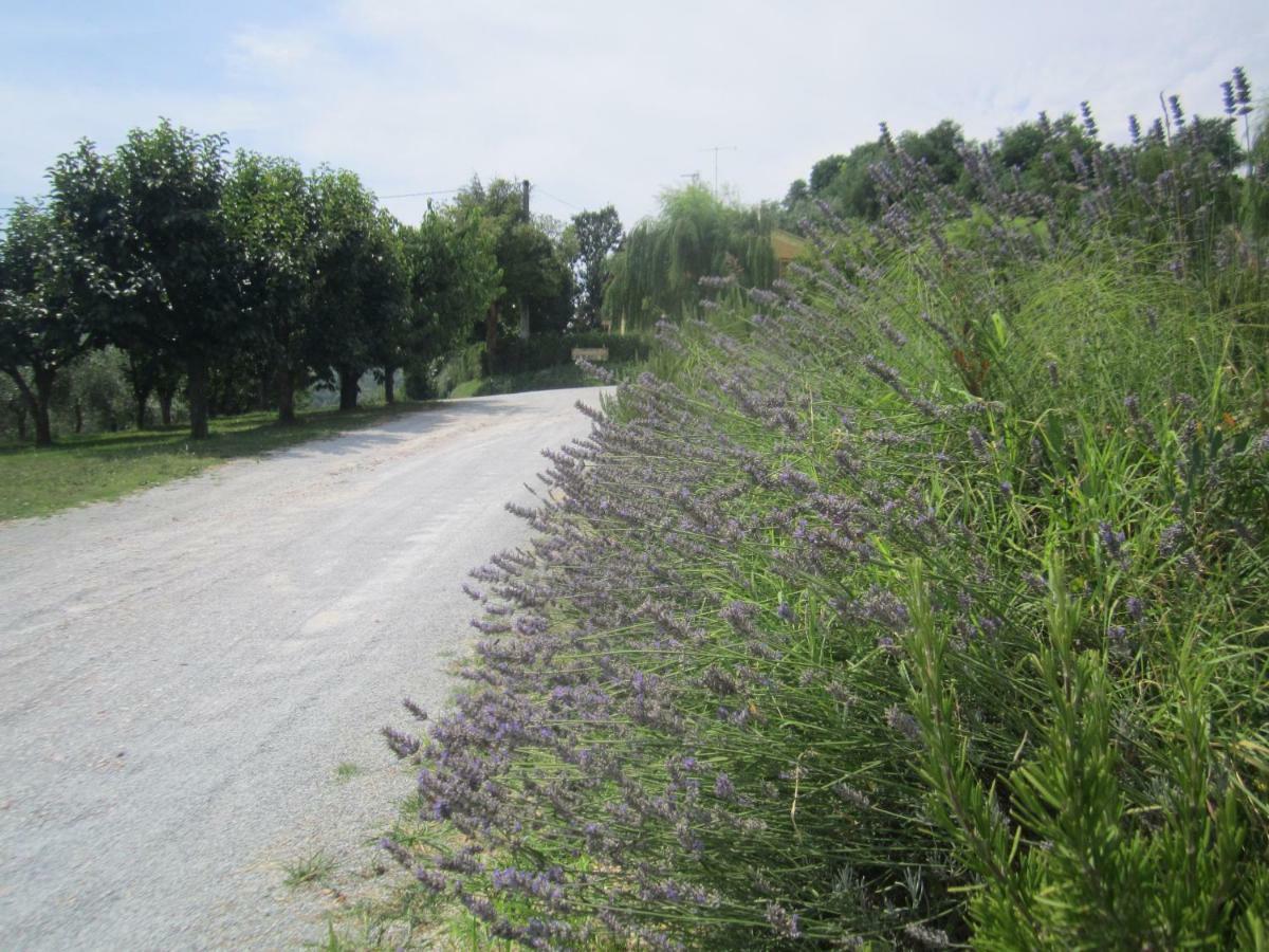 צ'זנה Le Spighe Agriturismo מראה חיצוני תמונה