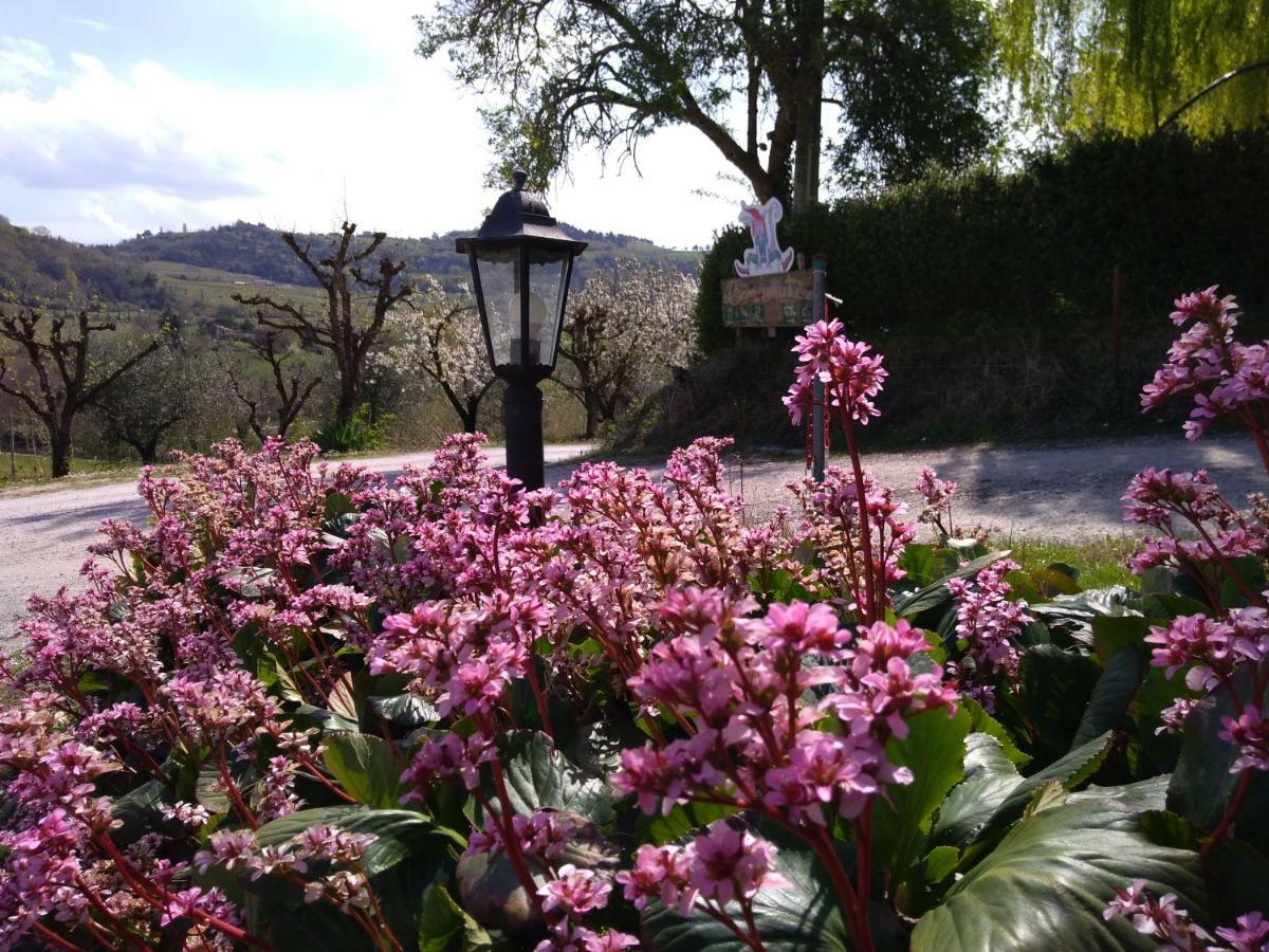 צ'זנה Le Spighe Agriturismo מראה חיצוני תמונה